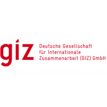 giz-standard-logo_0